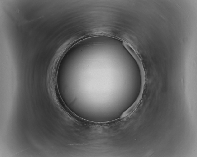 X0000116130193200911231242