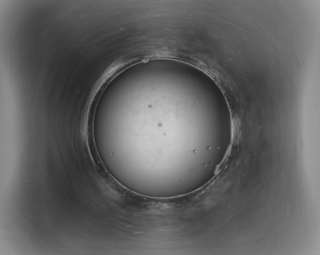 X0000116130195200911231242