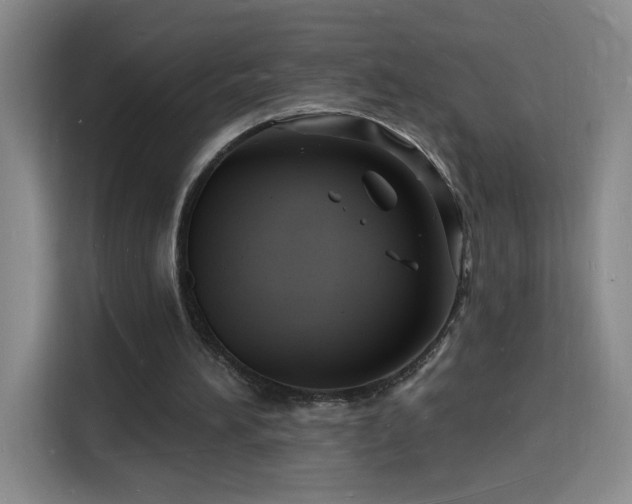 X0000116130196200911231242