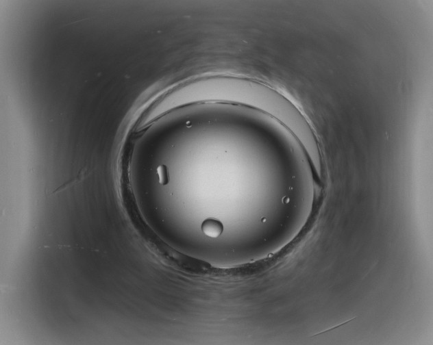 X0000116130199200911231242