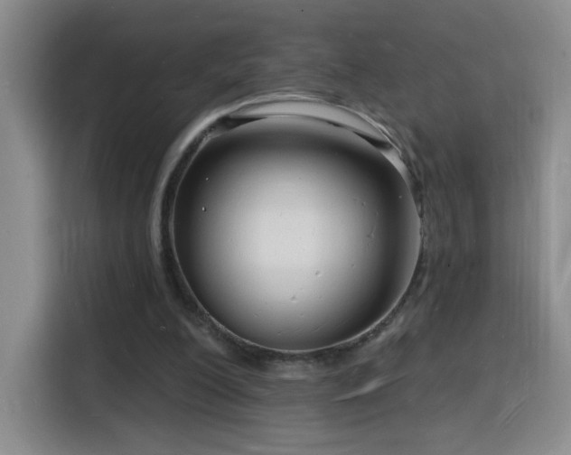 X0000116130200200911231242