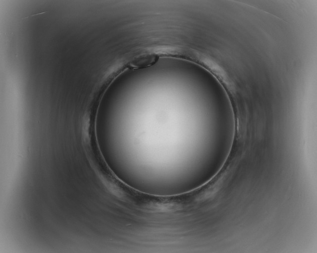 X0000116130201200911231242