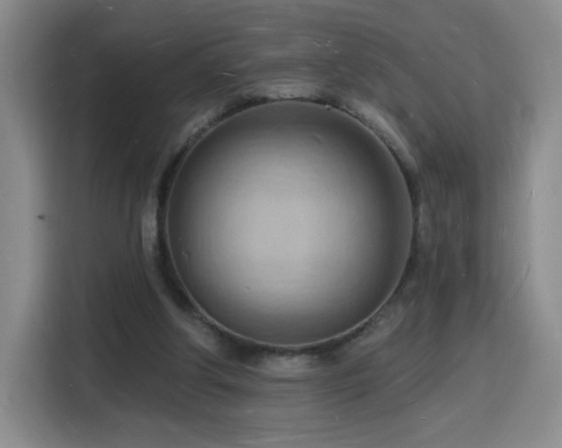 X0000116130202200911231242