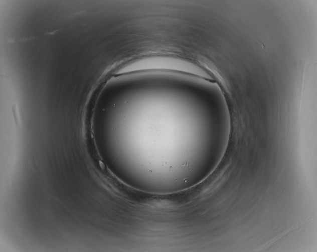 X0000116130203200911231242