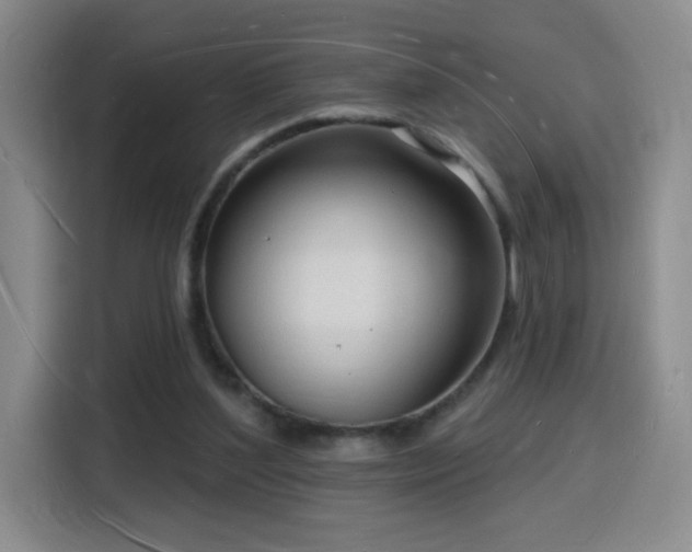 X0000116130204200911231242