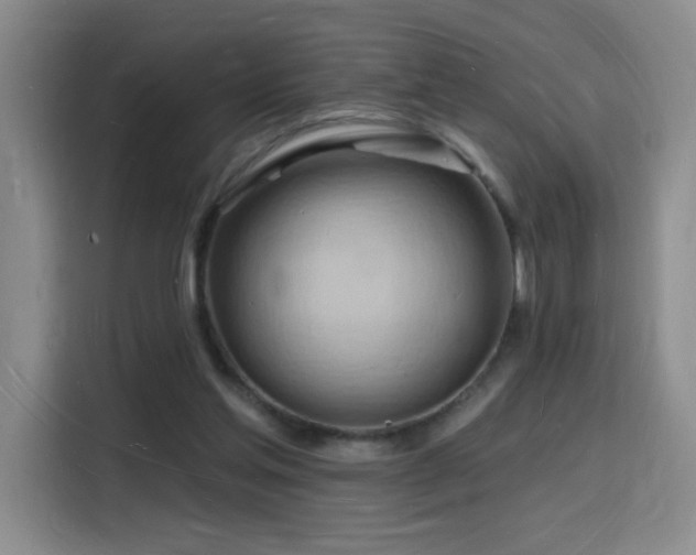 X0000116130205200911231242