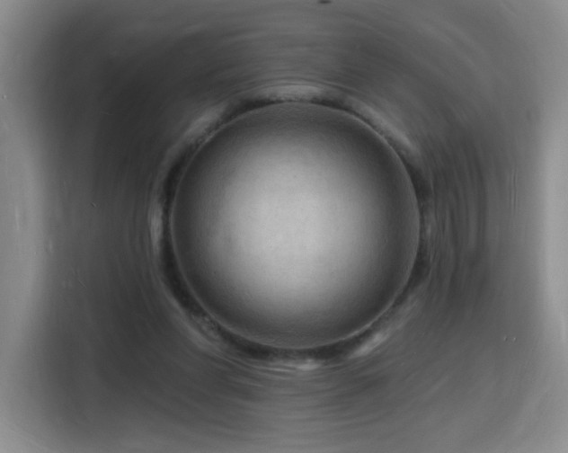 X0000116130206200911231242