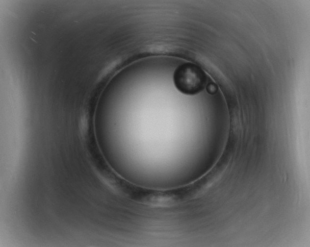X0000116130208200911231242