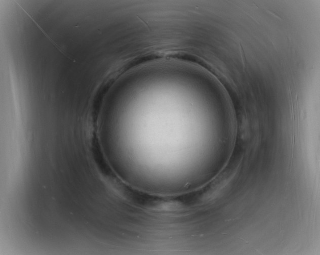 X0000116130210200911231242