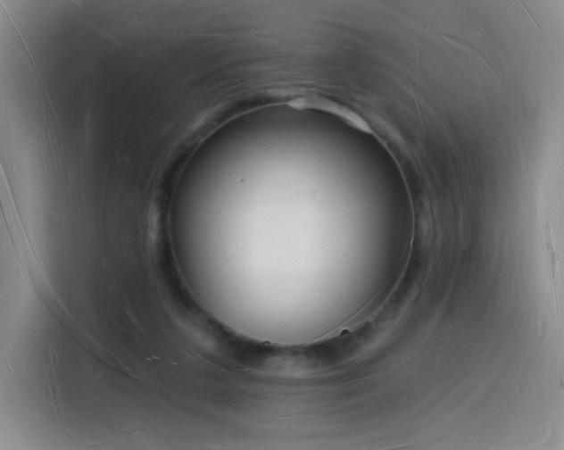 X0000116130211200911231242