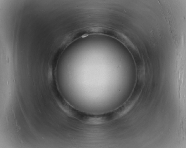 X0000116130213200911231242