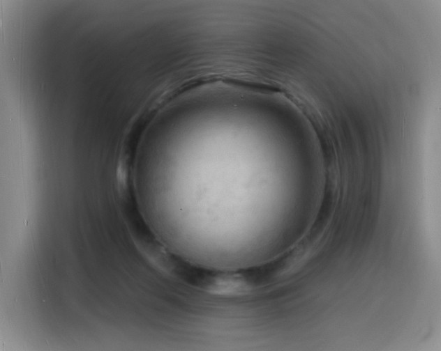 X0000116130214200911231242