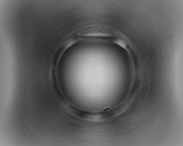 X0000116130217200911231242