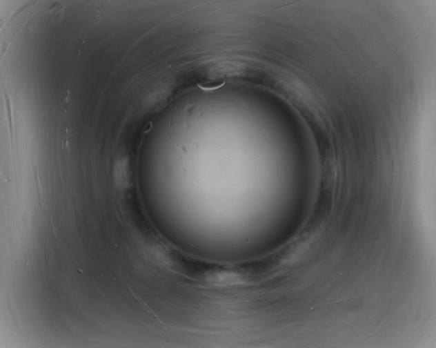 X0000116130224200911231242