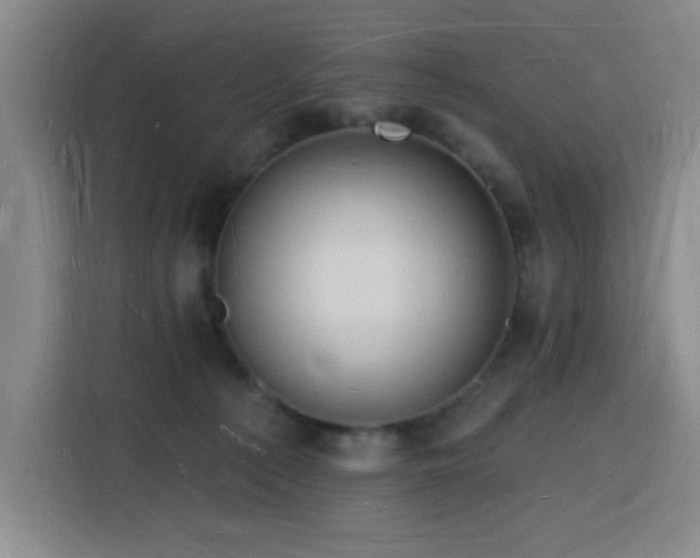X0000116130225200911231241