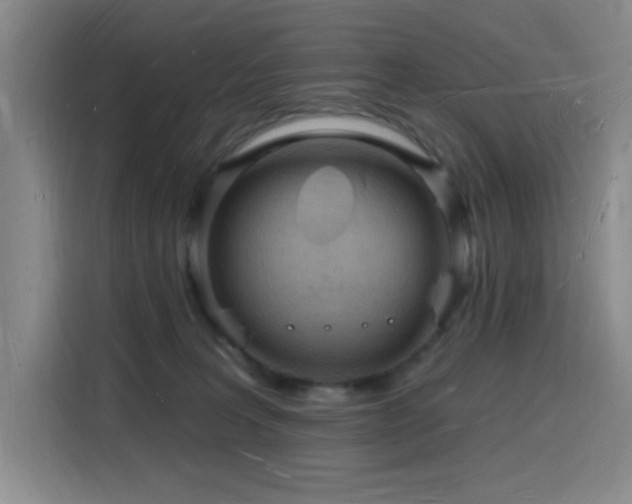 X0000116130227200911231241