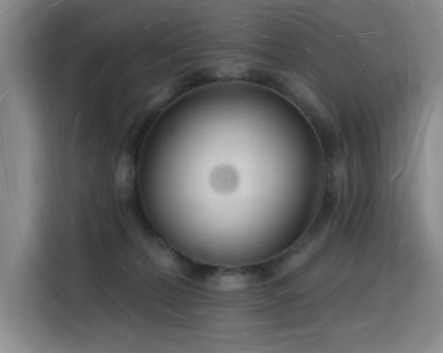 X0000116130228200911231241