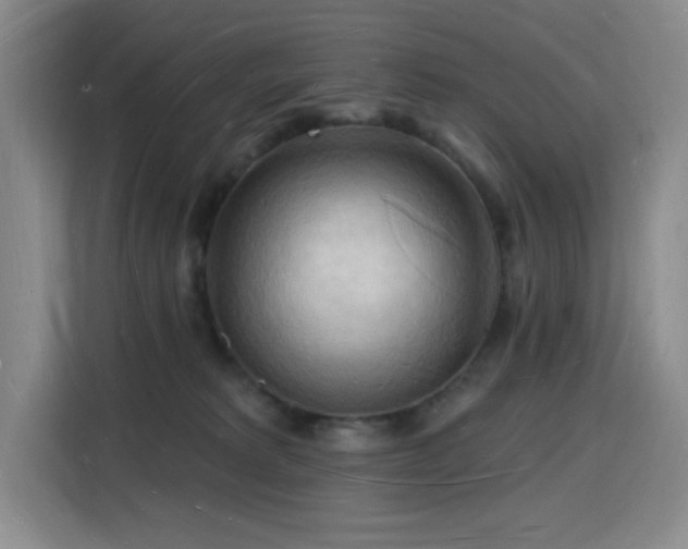 X0000116130229200911231241