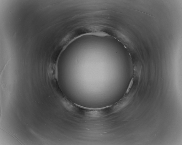 X0000116130237200911231241