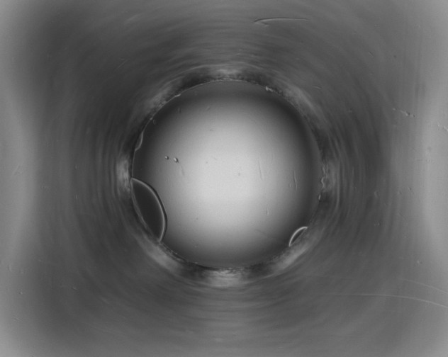 X0000116130238200911231241