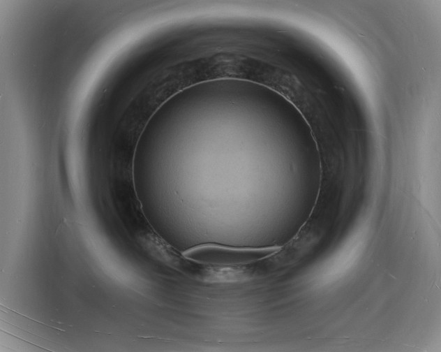 X0000116130239200911231241