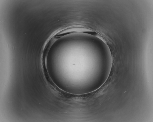 X0000116130244200911231241
