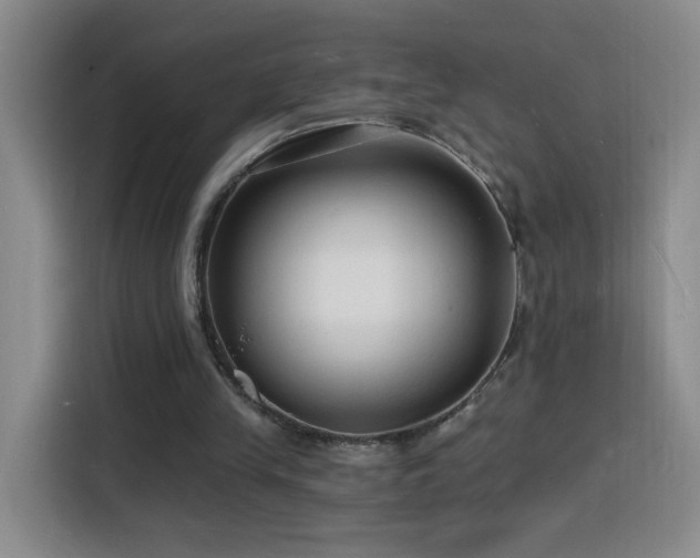 X0000116130245200911231241