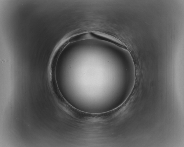 X0000116130246200911231241