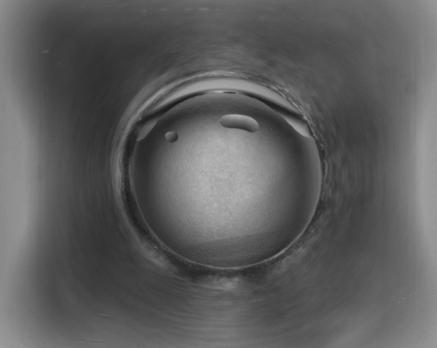 X0000116130247200911231241