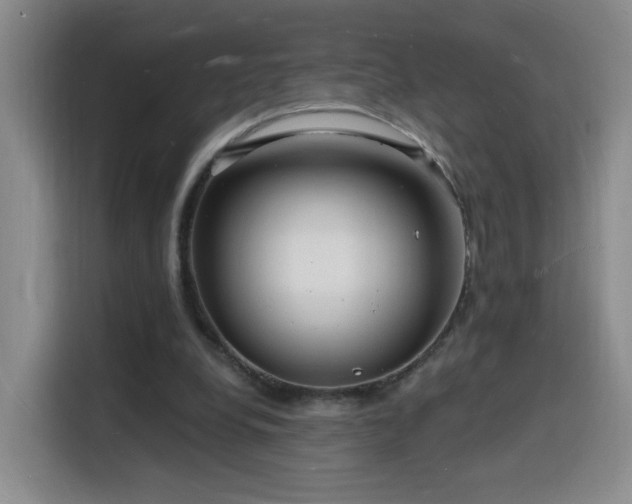 X0000116130248200911231241