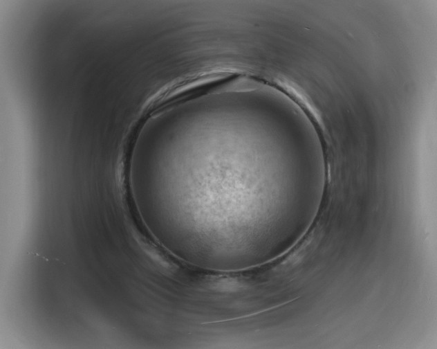 X0000116130249200911231241
