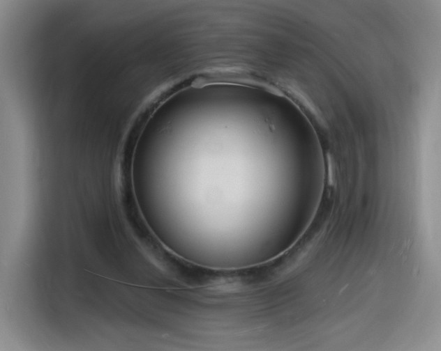 X0000116130252200911231241