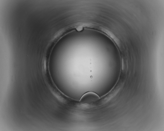 X0000116130253200911231241