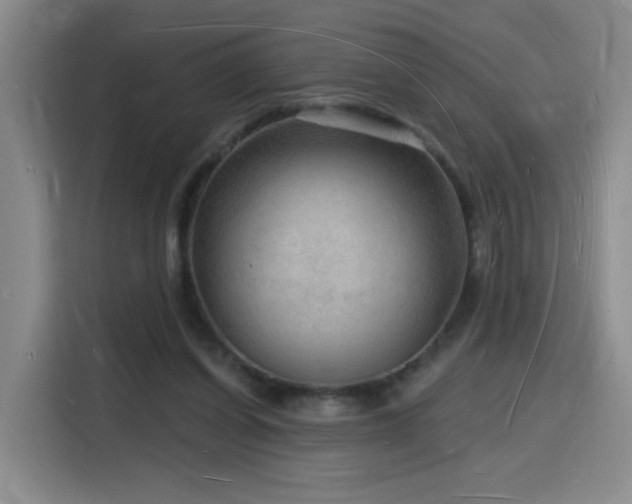 X0000116130254200911231241