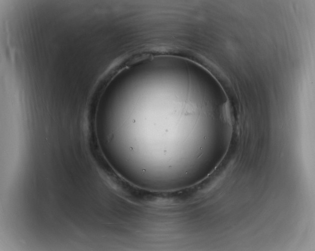 X0000116130256200911231241