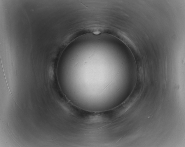 X0000116130259200911231241
