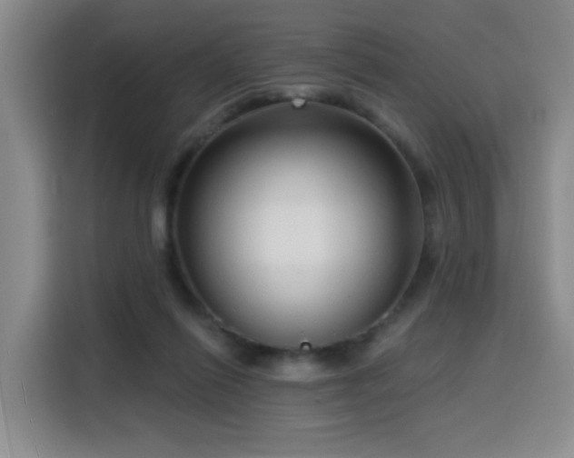 X0000116130262200911231241