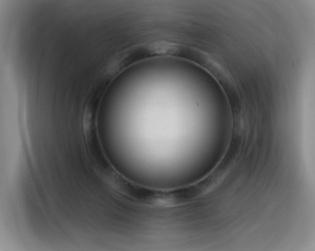 X0000116130263200911231241