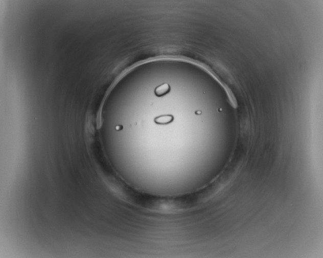 X0000116130264200911231241