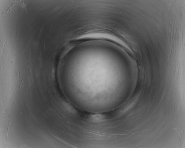 X0000116130269200911231241