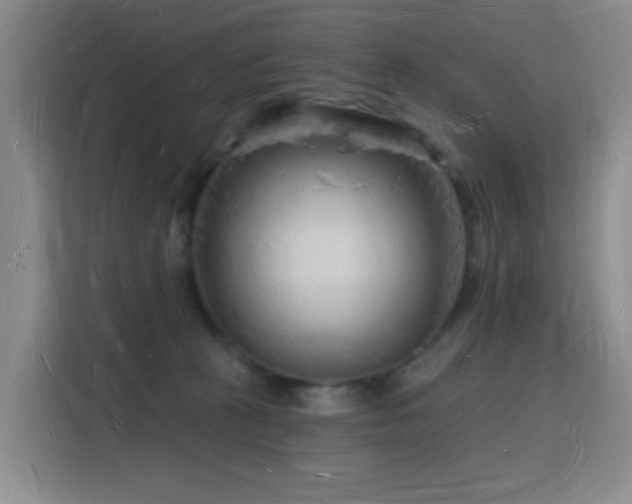 X0000116130273200911231241