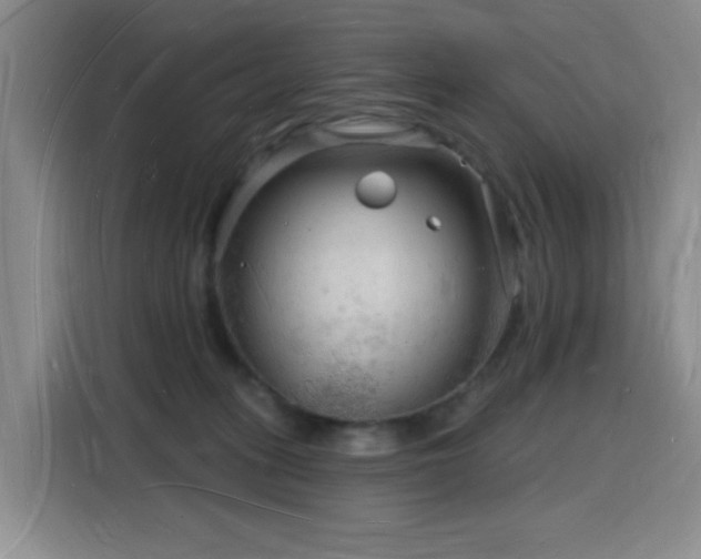 X0000116130275200911231241