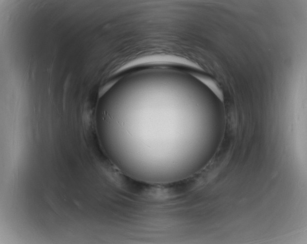 X0000116130276200911231241