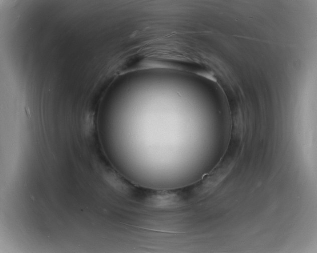 X0000116130278200911231241
