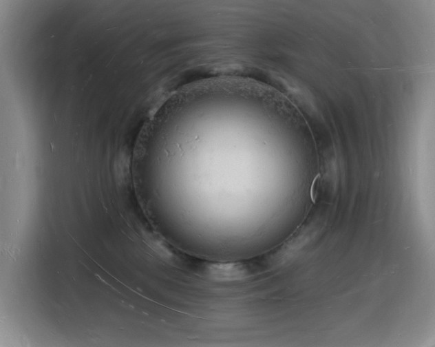 X0000116130281200911231241