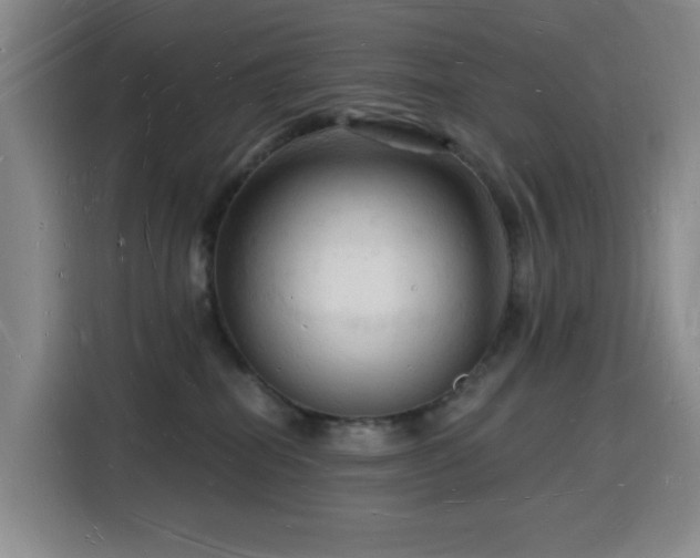 X0000116130282200911231241