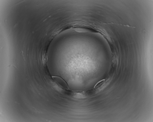 X0000116130285200911231241