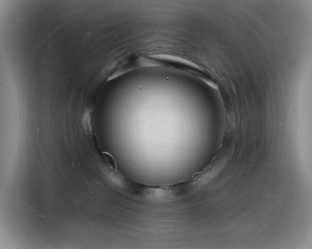 X0000116130286200911231241