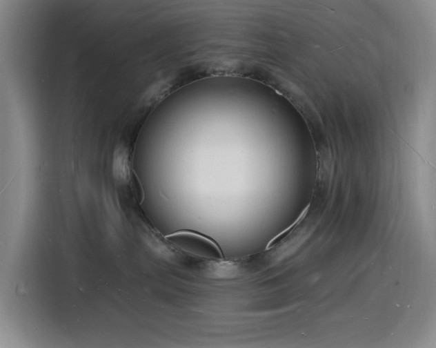 X0000116130287200911231241