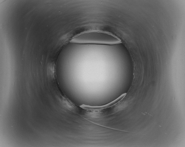 X0000116130288200911231241